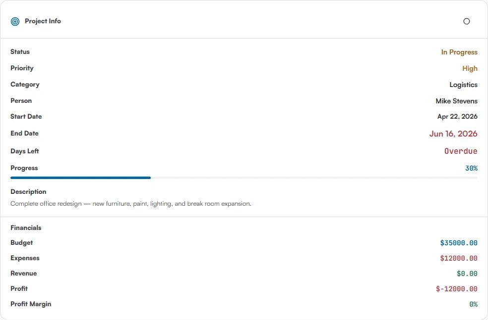 Project Info card listing status, priority, category, person, dates, days left, progress, description and financials